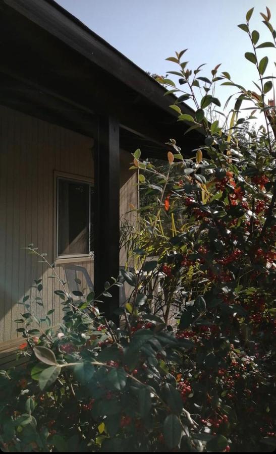 סאוסה דה פורטסואלו Cabanas Del Este מראה חיצוני תמונה