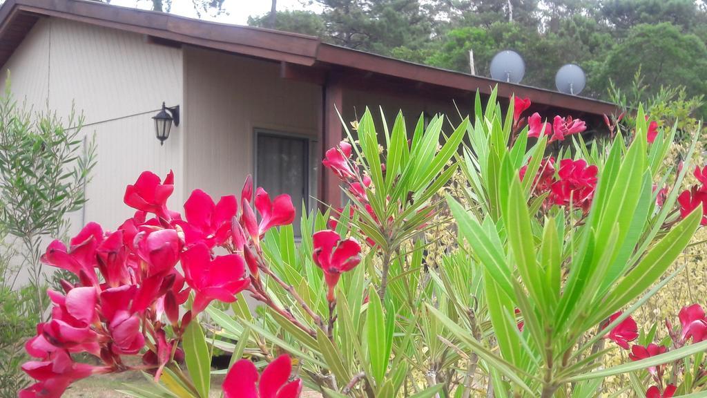 סאוסה דה פורטסואלו Cabanas Del Este מראה חיצוני תמונה